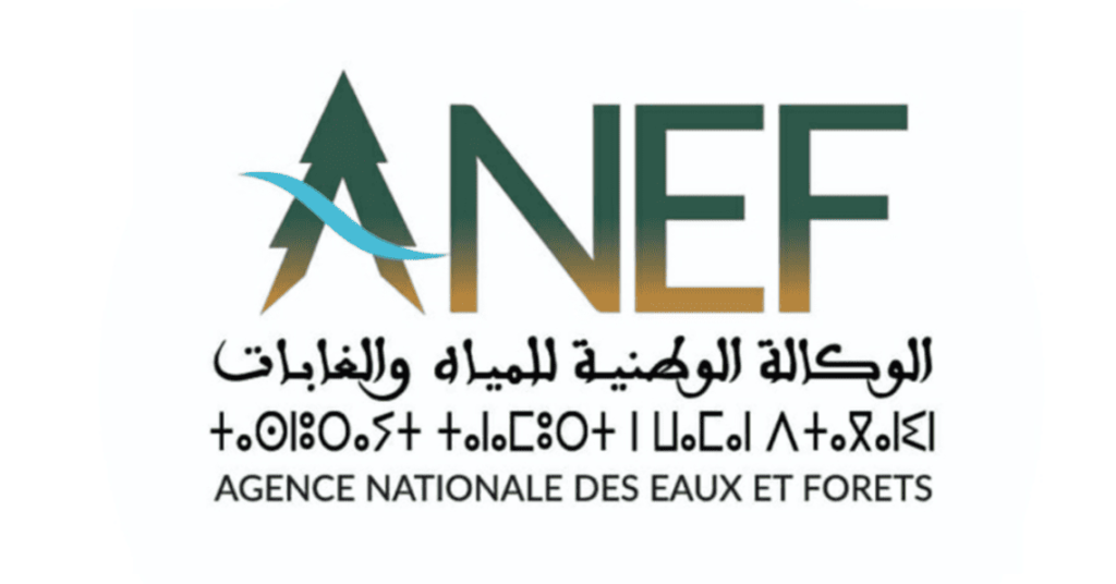 anef logo